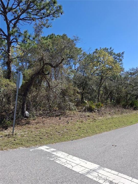 На продажу: $53,900 (0.46 acres)