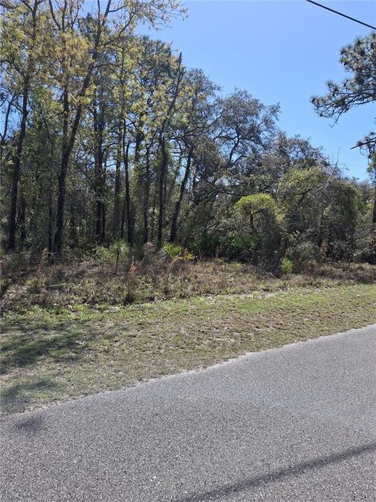 На продажу: $53,900 (0.46 acres)