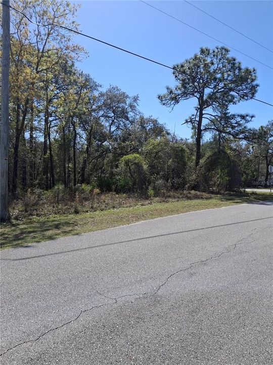 На продажу: $53,900 (0.46 acres)