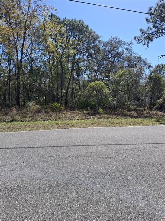 На продажу: $53,900 (0.46 acres)