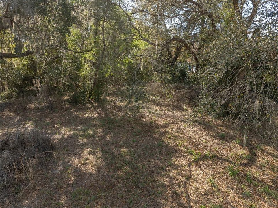 En Venta: $700,000 (1.43 acres)