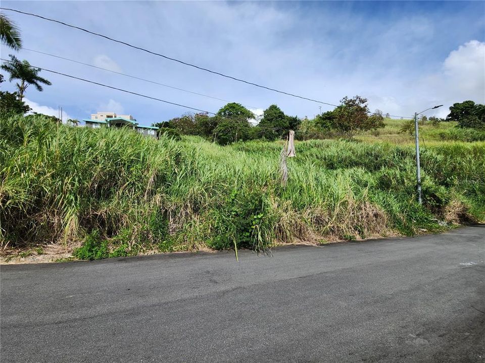 For Sale: $60,000 (0.27 acres)