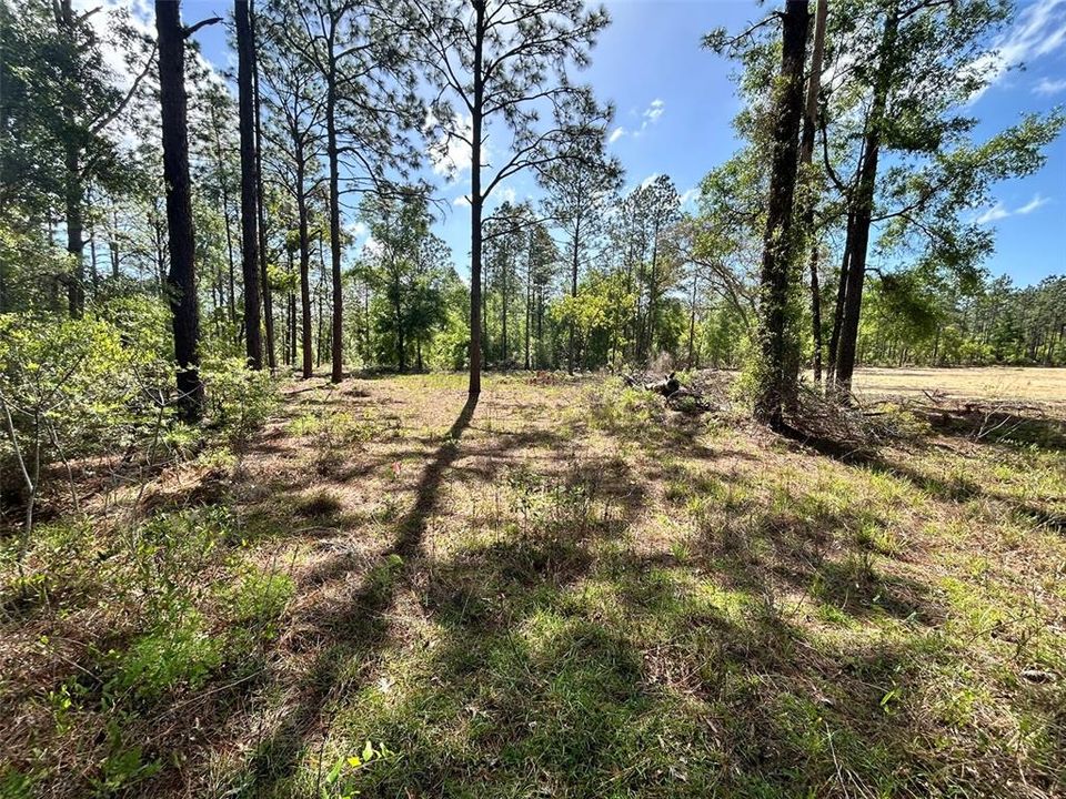 На продажу: $35,000 (0.25 acres)