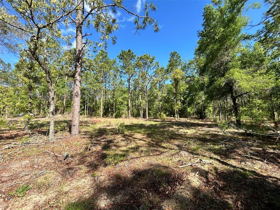 На продажу: $35,000 (0.25 acres)