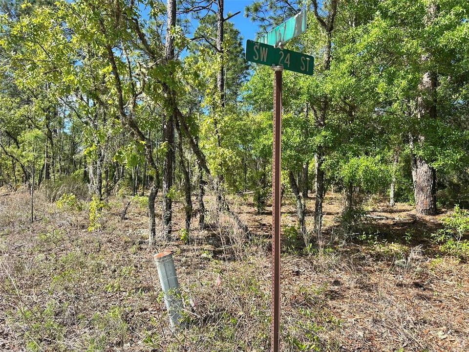 На продажу: $35,000 (0.25 acres)