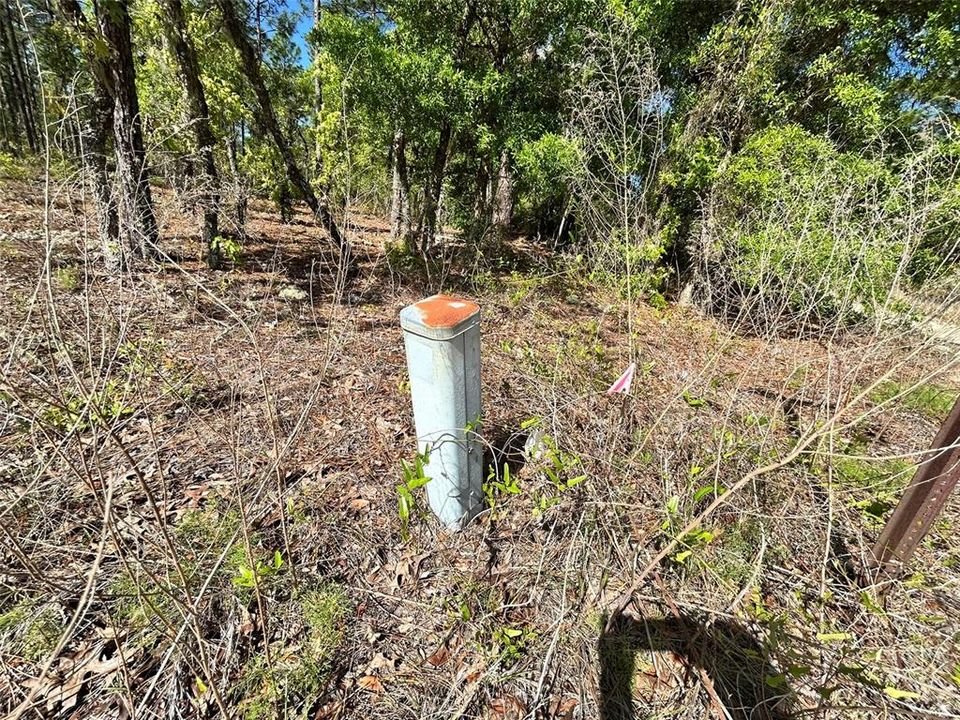 На продажу: $35,000 (0.25 acres)