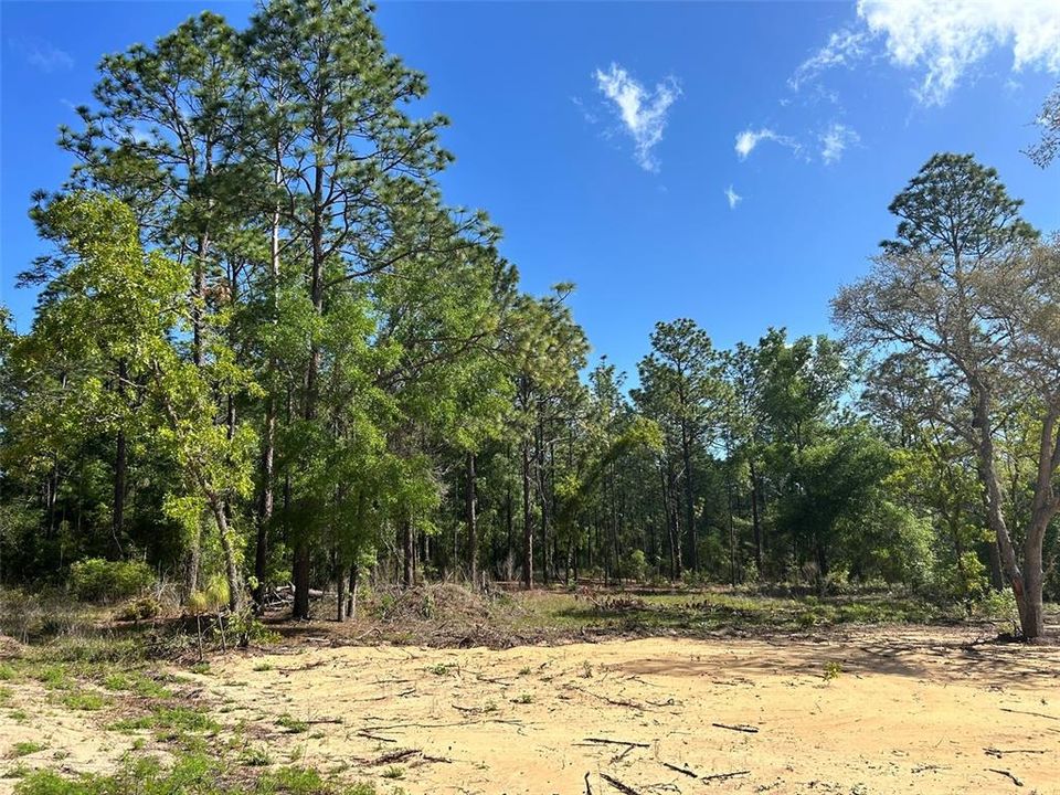 На продажу: $35,000 (0.25 acres)