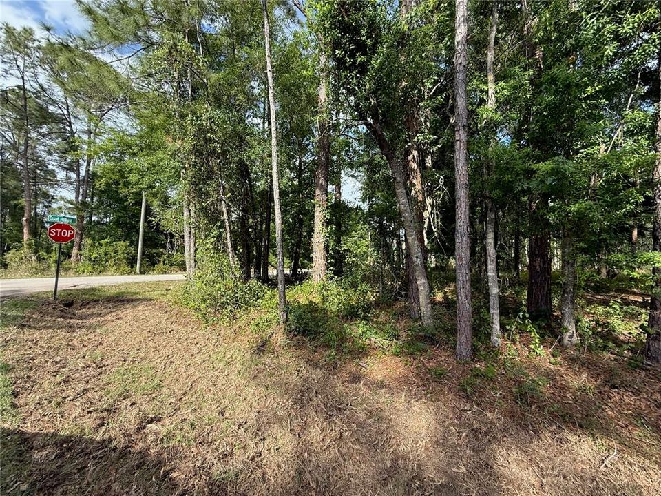 For Sale: $139,900 (1.19 acres)