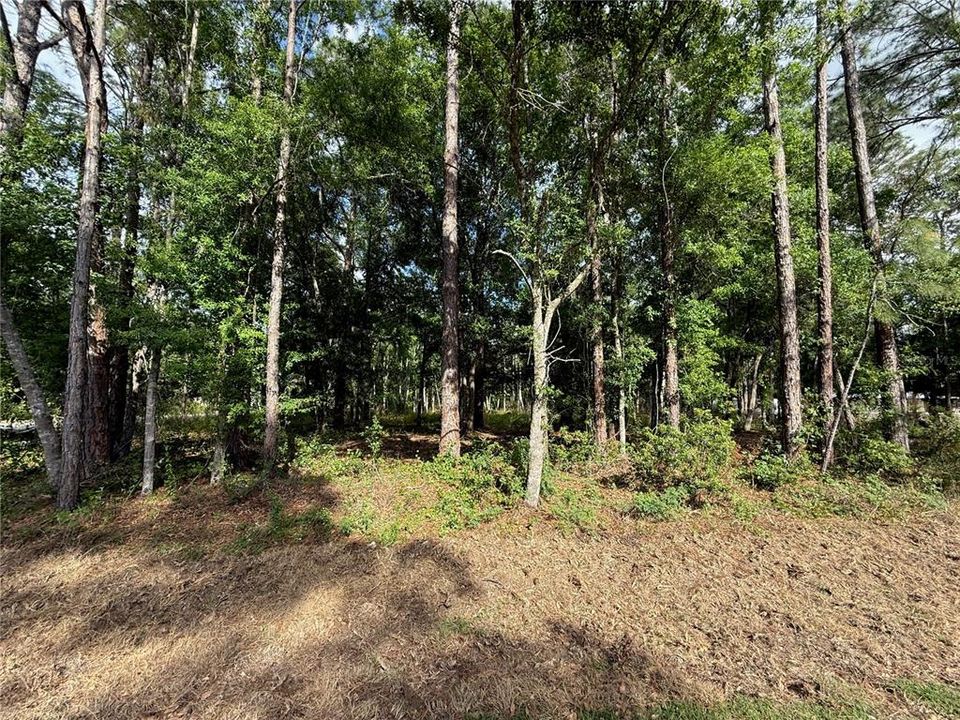 For Sale: $139,900 (1.19 acres)