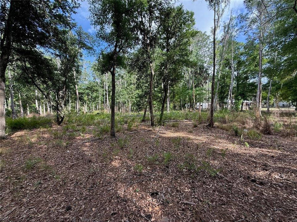 For Sale: $139,900 (1.19 acres)