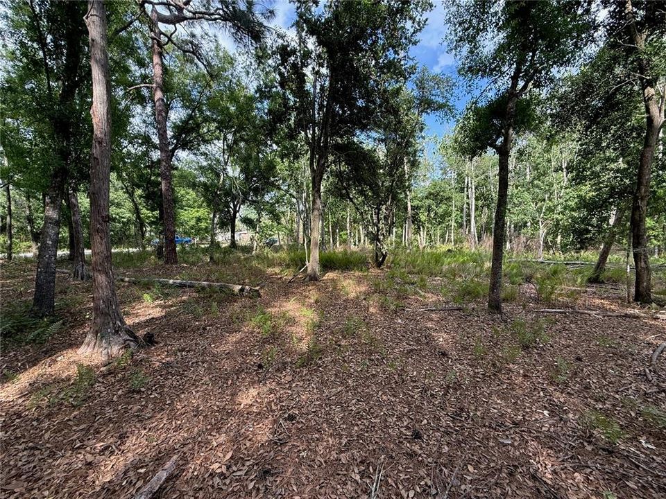 For Sale: $139,900 (1.19 acres)