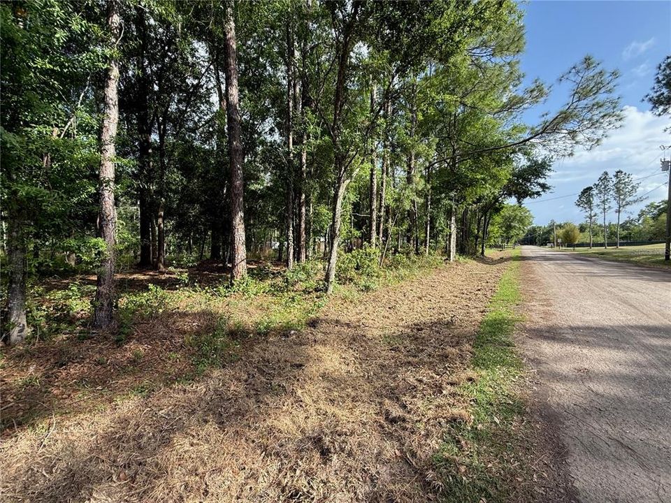 For Sale: $139,900 (1.19 acres)