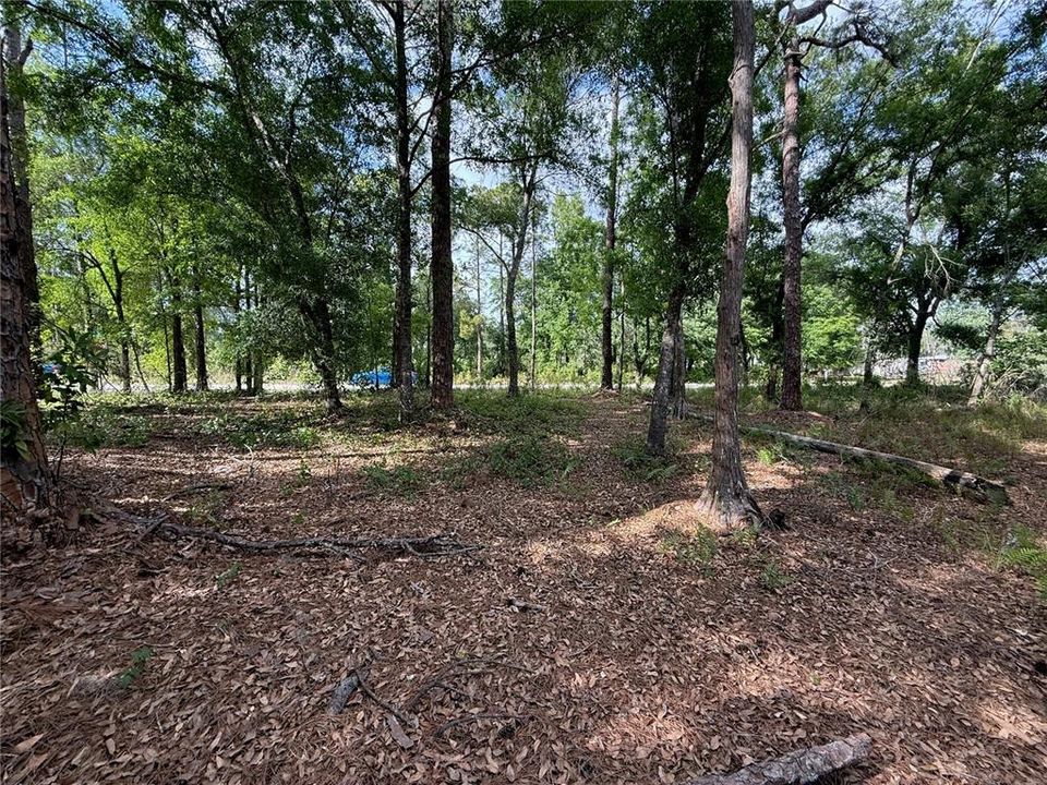 For Sale: $139,900 (1.19 acres)