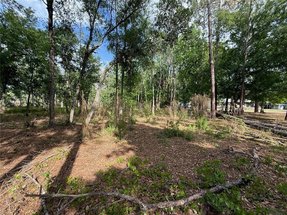 For Sale: $139,900 (1.19 acres)