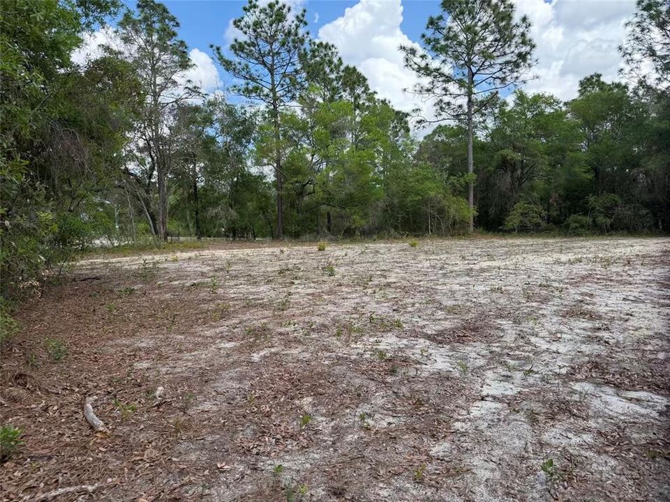 For Sale: $45,000 (1.69 acres)