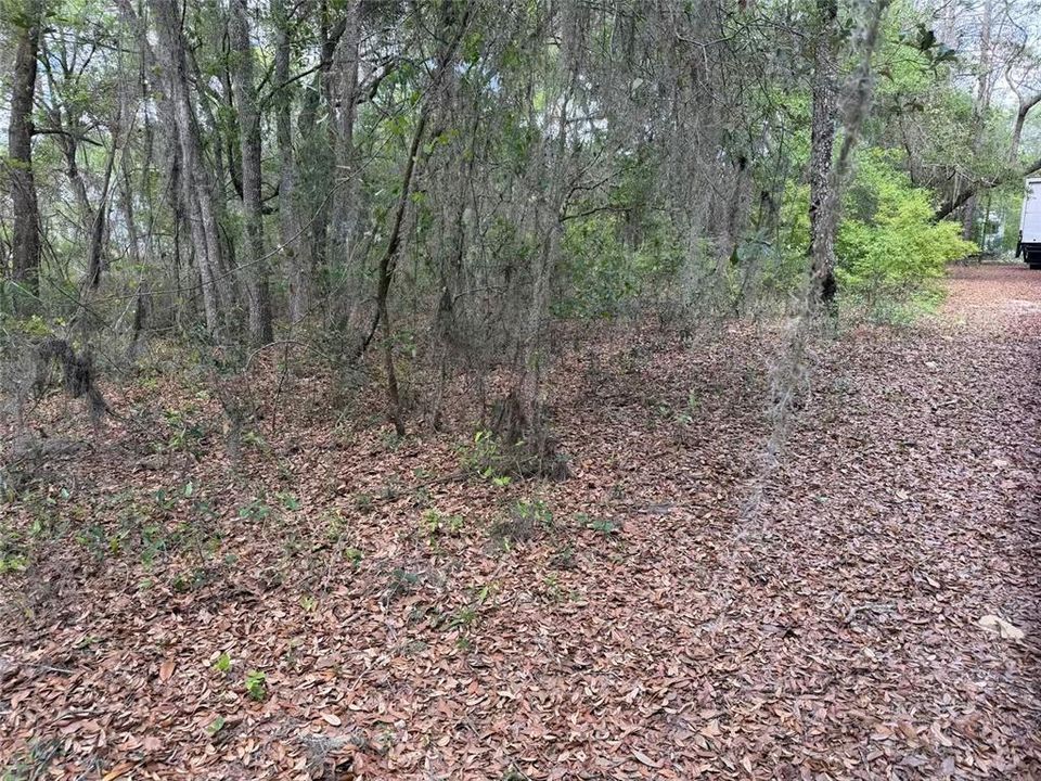 For Sale: $45,000 (1.69 acres)