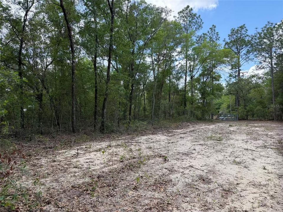 For Sale: $45,000 (1.69 acres)