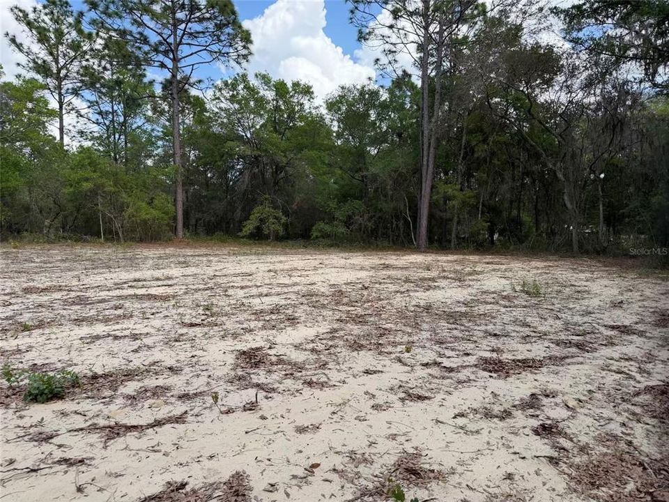 For Sale: $45,000 (1.69 acres)