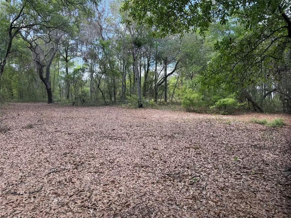 For Sale: $45,000 (1.69 acres)