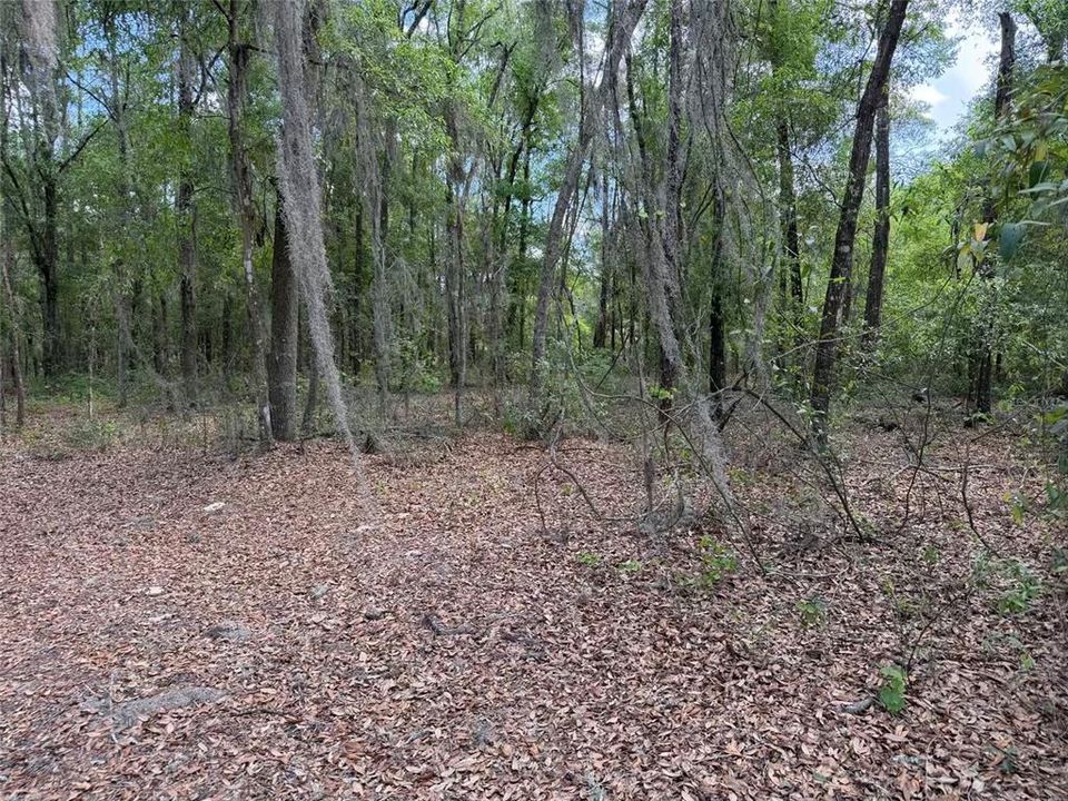 For Sale: $45,000 (1.69 acres)