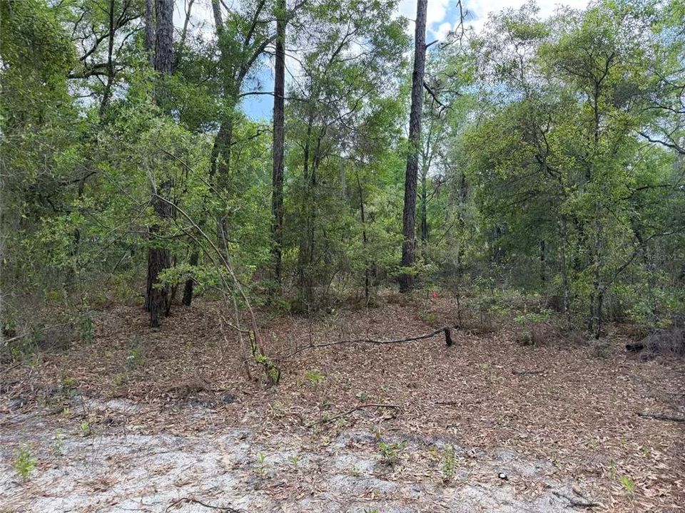 For Sale: $45,000 (1.69 acres)