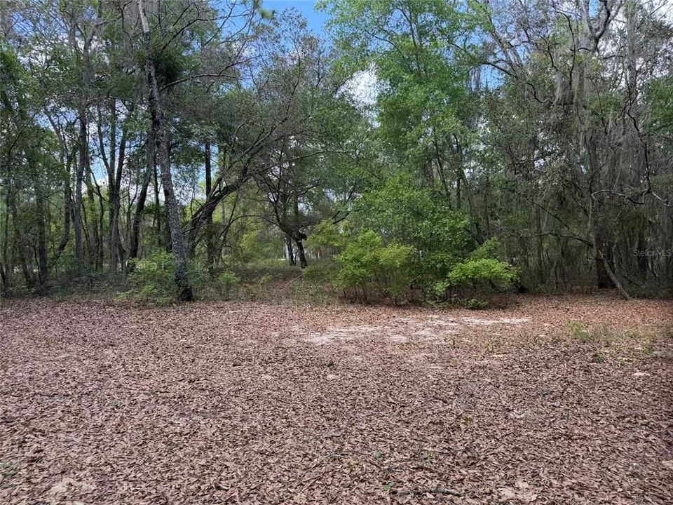 For Sale: $45,000 (1.69 acres)