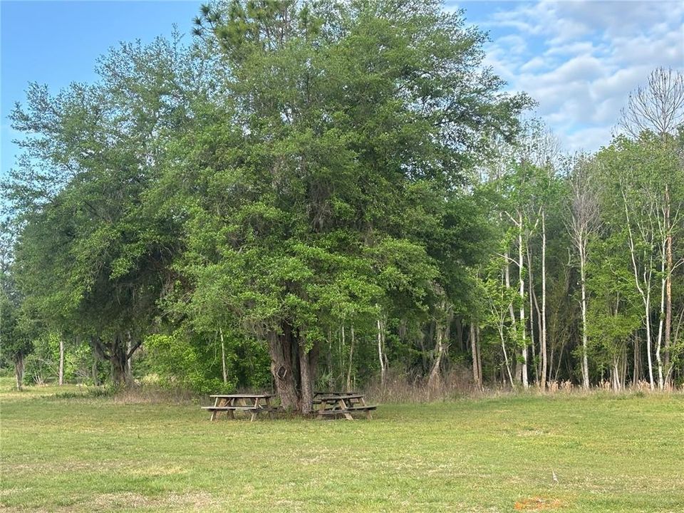 待售: $79,000 (0.88 acres)