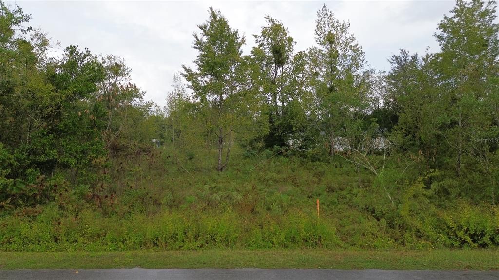 待售: $28,000 (0.17 acres)