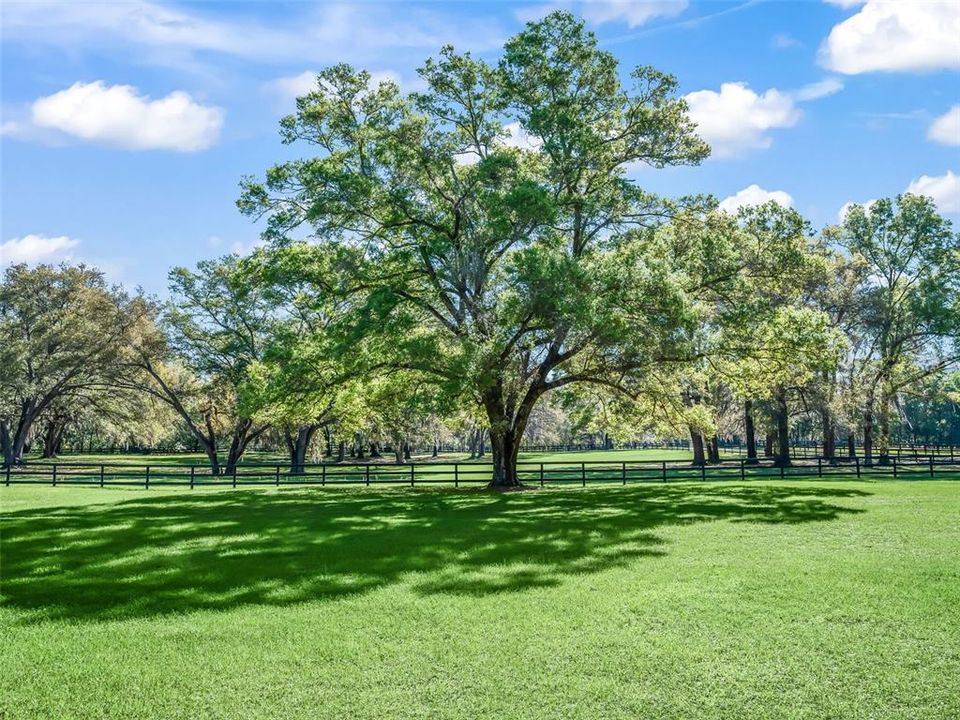 待售: $335,000 (4.20 acres)