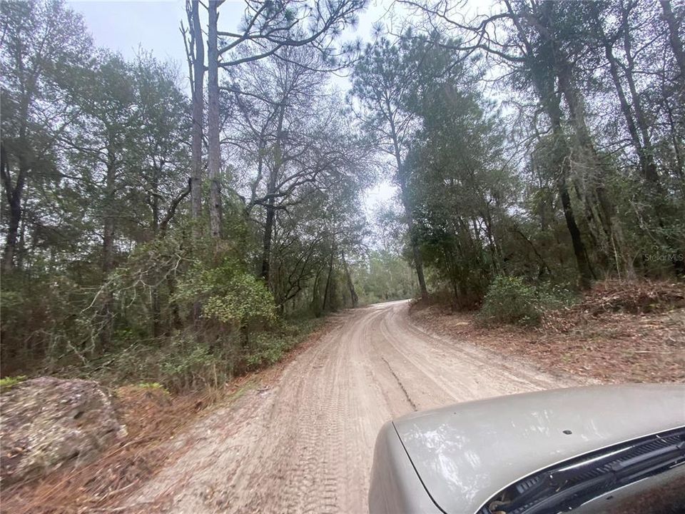 待售: $44,500 (1.25 acres)