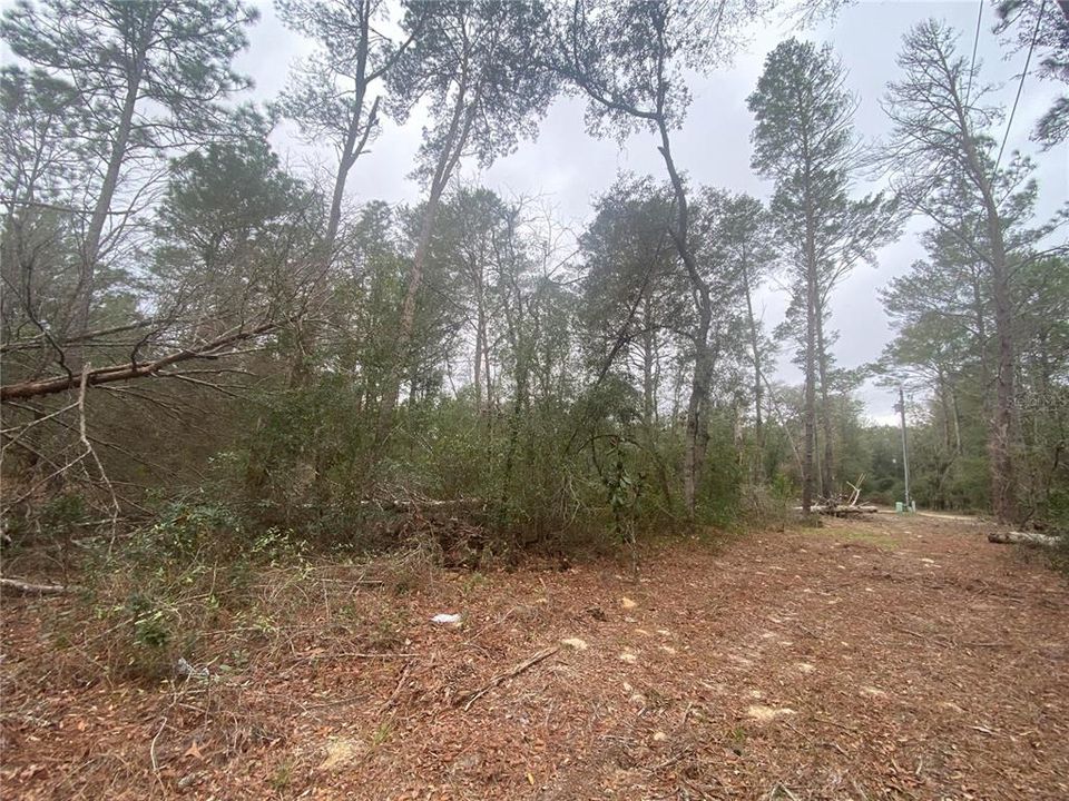 待售: $44,500 (1.25 acres)