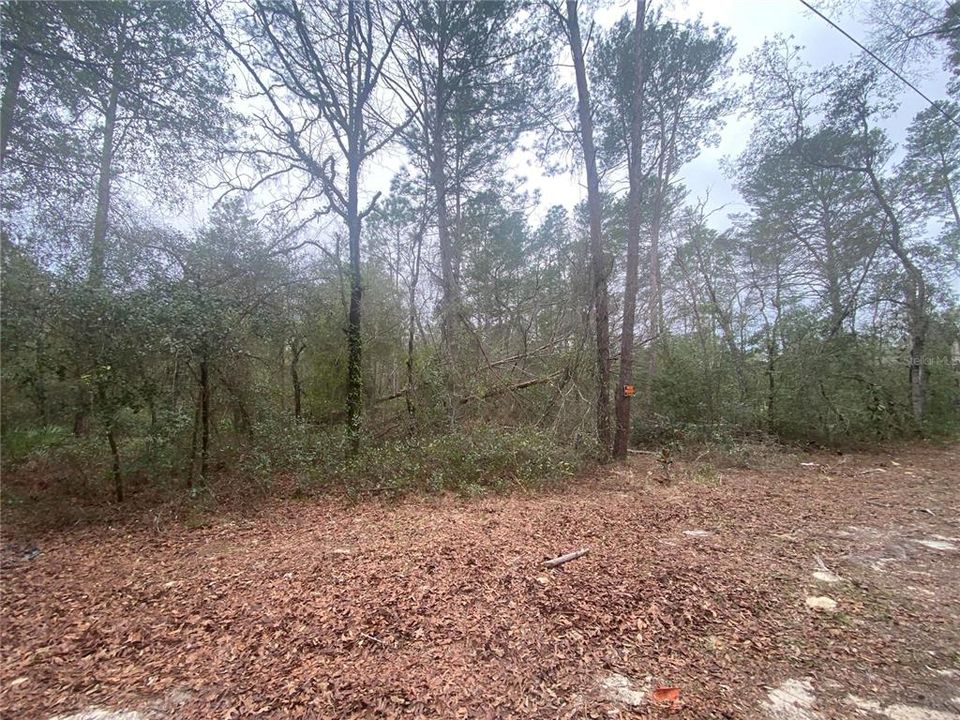 待售: $44,500 (1.25 acres)