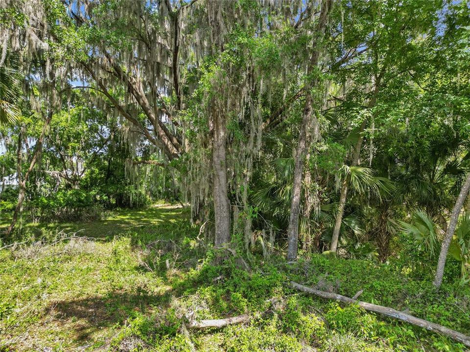 For Sale: $265,000 (3 beds, 2 baths, 1292 Square Feet)