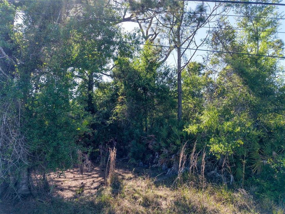 На продажу: $25,000 (0.19 acres)