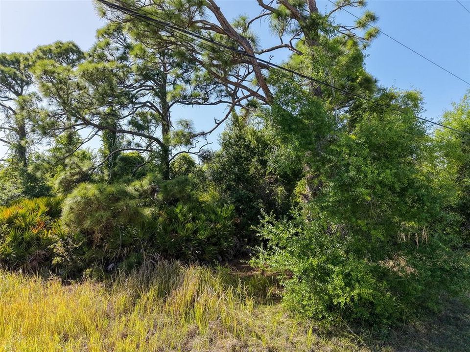 На продажу: $25,000 (0.19 acres)