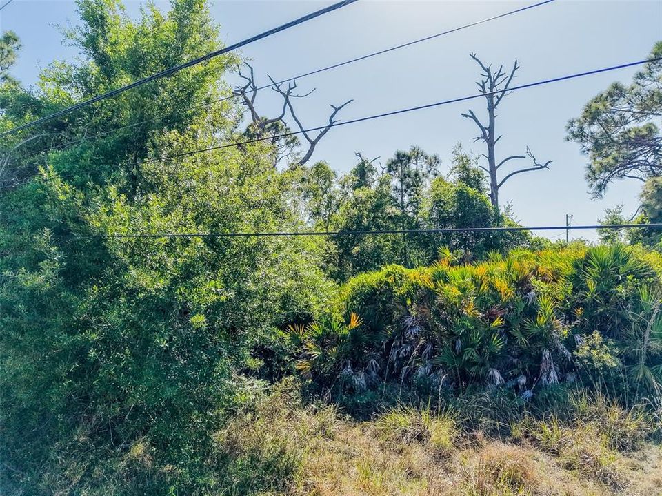 На продажу: $25,000 (0.19 acres)