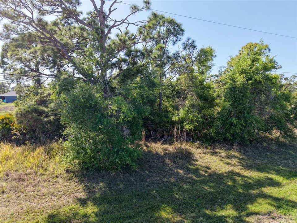 На продажу: $25,000 (0.19 acres)