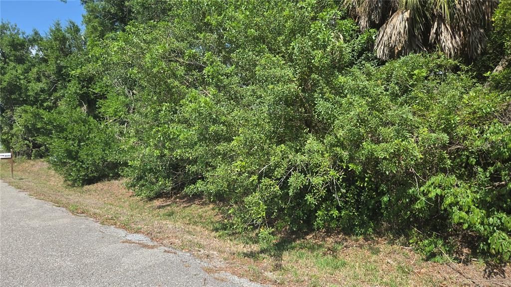 En Venta: $199,000 (0.46 acres)