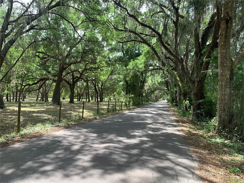 На продажу: $299,000 (10.00 acres)