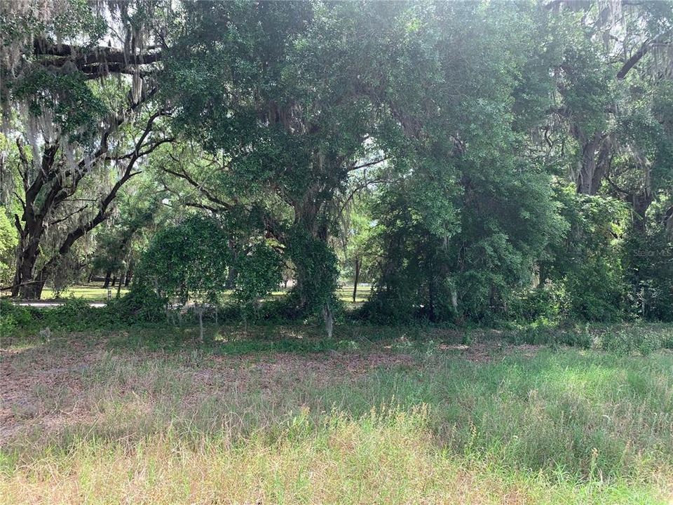 На продажу: $299,000 (10.00 acres)