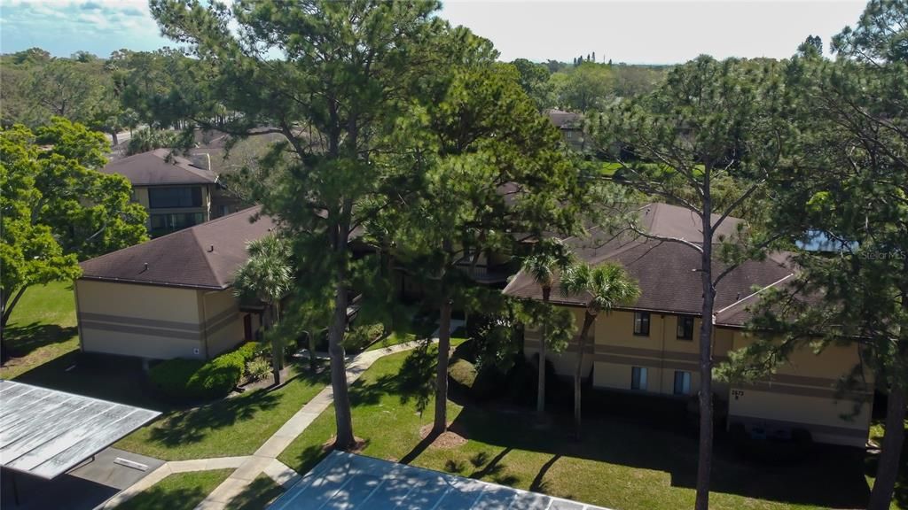 For Rent: $2,675 (1 beds, 1 baths, 805 Square Feet)