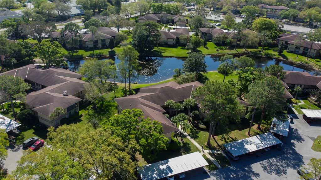 For Rent: $2,675 (1 beds, 1 baths, 805 Square Feet)