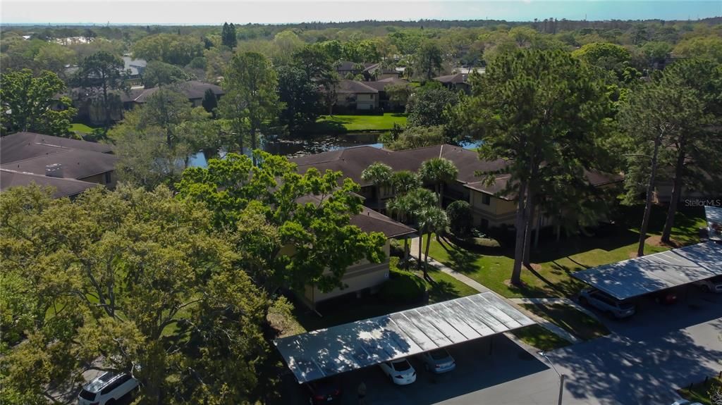 For Rent: $2,675 (1 beds, 1 baths, 805 Square Feet)