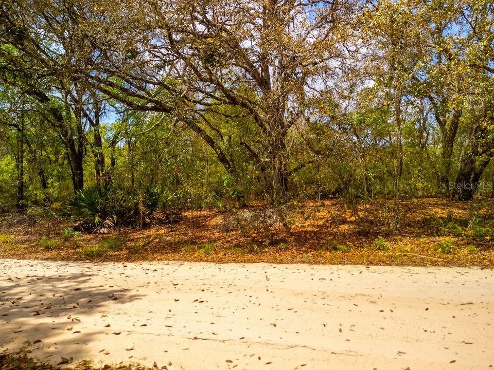 На продажу: $22,900 (1.02 acres)