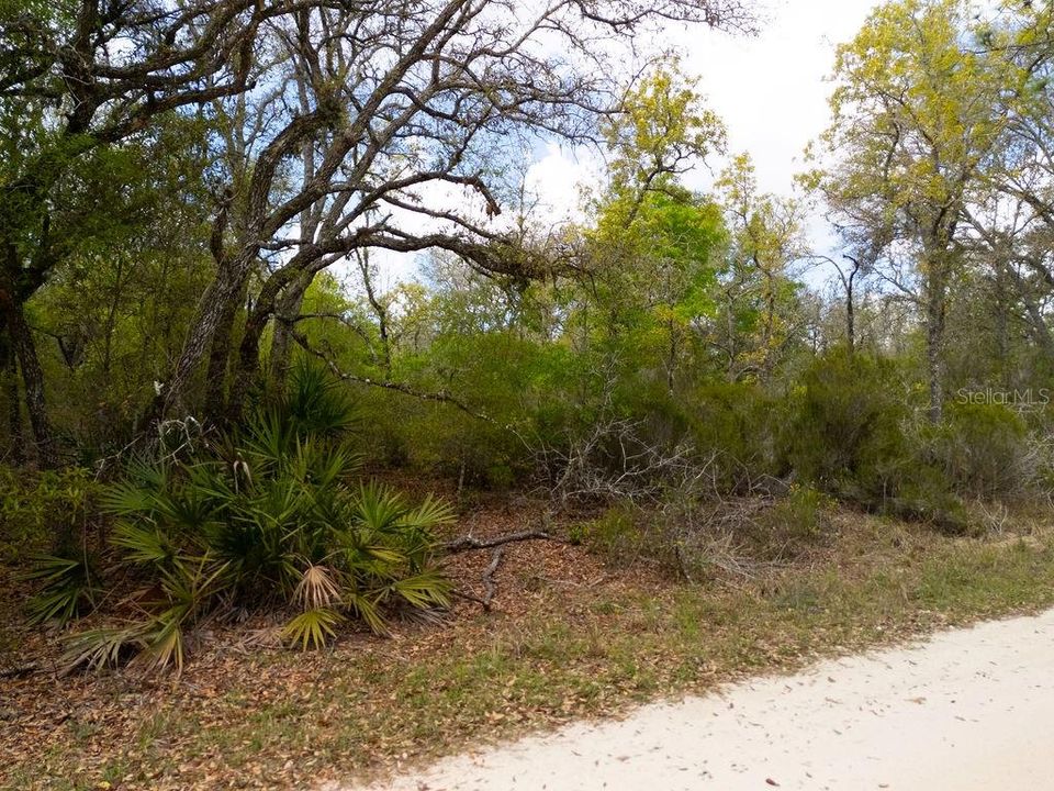 На продажу: $22,900 (1.02 acres)