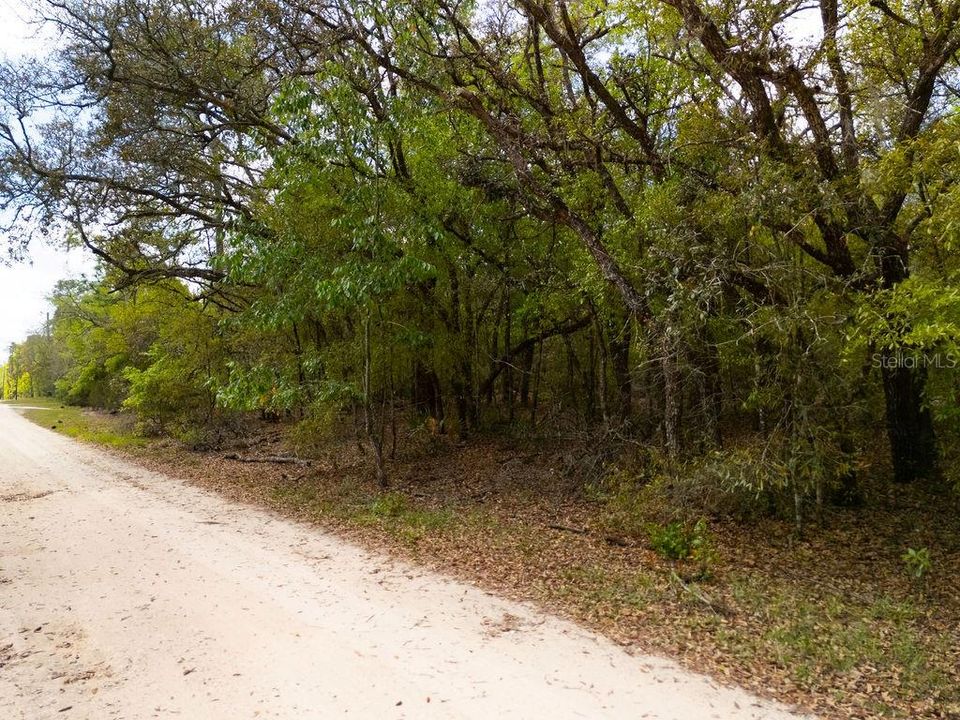 На продажу: $22,900 (1.02 acres)