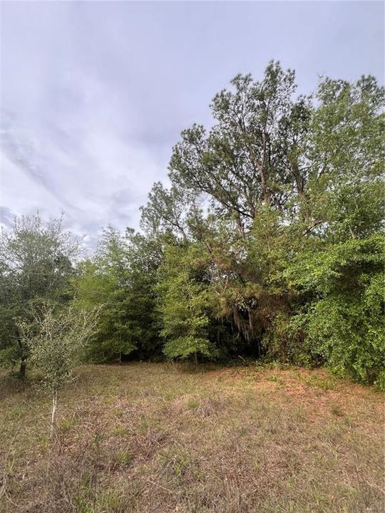 For Sale: $63,000 (0.61 acres)