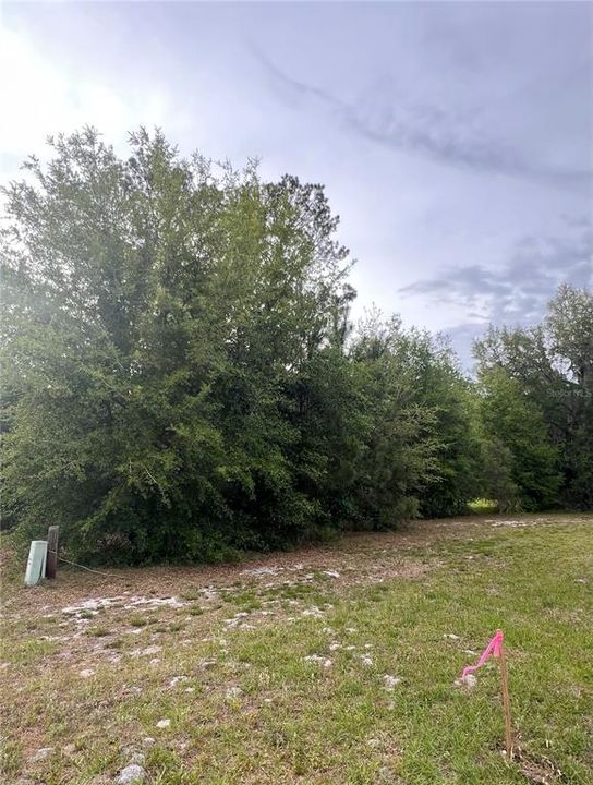 For Sale: $63,000 (0.61 acres)