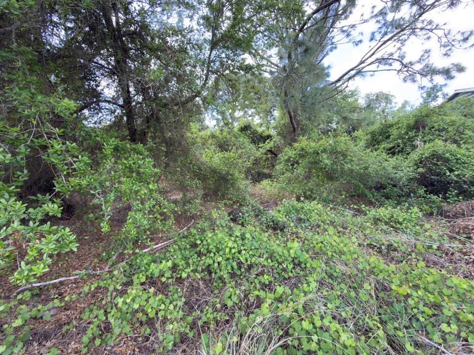 For Sale: $52,000 (0.28 acres)