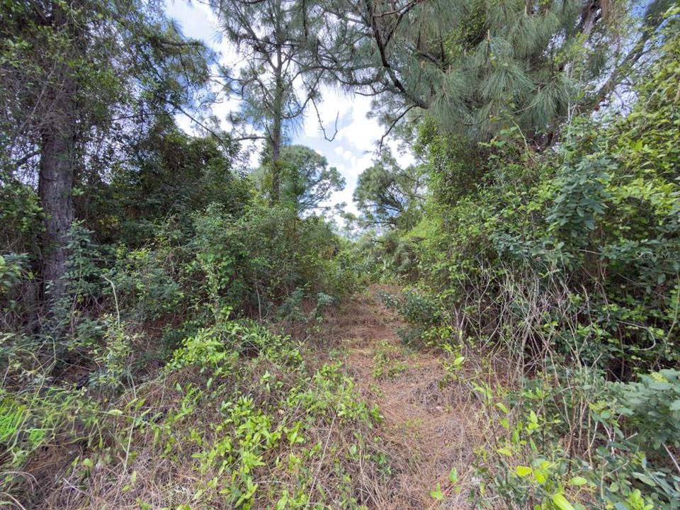 For Sale: $52,000 (0.28 acres)